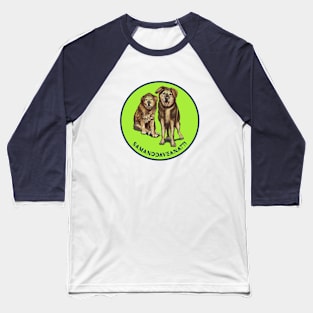 SamandDaveanatti Baseball T-Shirt